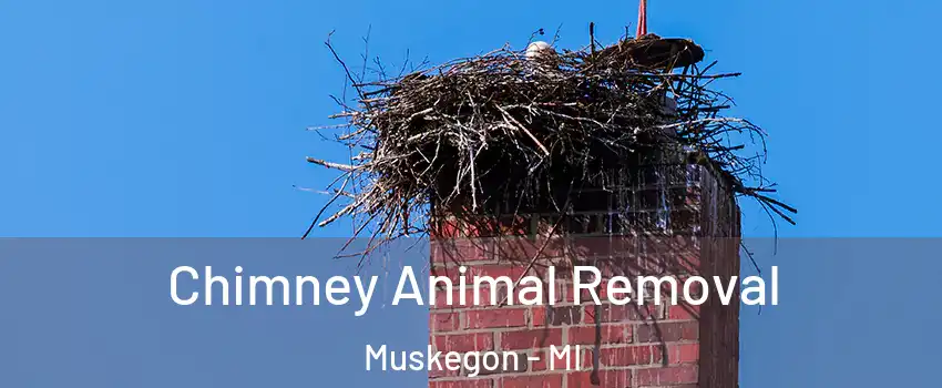 Chimney Animal Removal Muskegon - MI