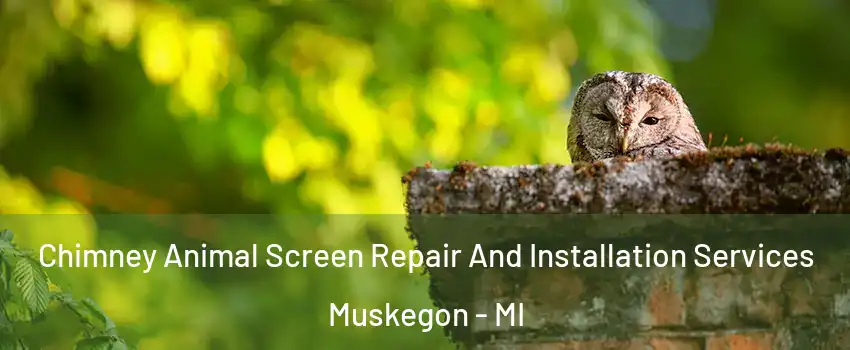  Chimney Animal Screen Repair And Installation Services Muskegon - MI
