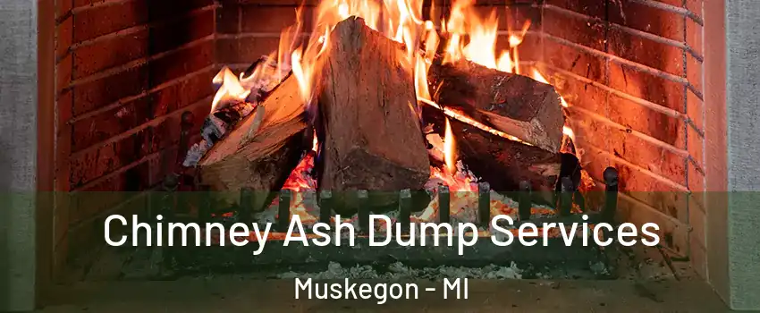  Chimney Ash Dump Services Muskegon - MI