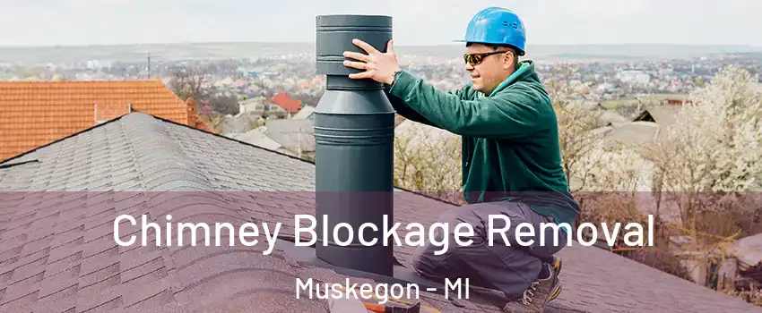  Chimney Blockage Removal Muskegon - MI