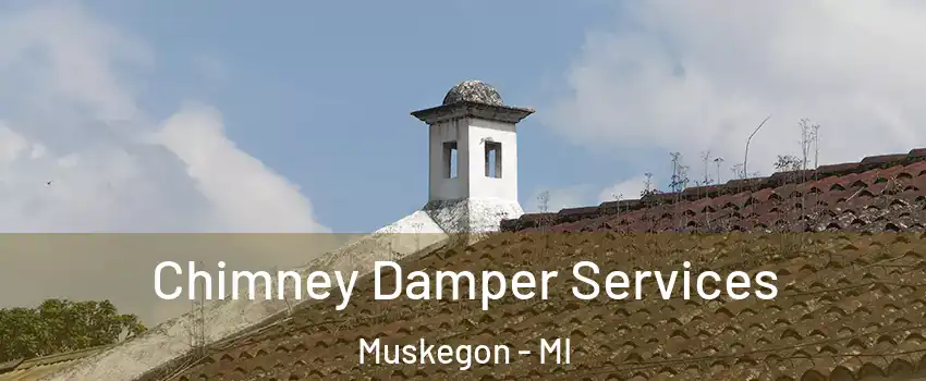  Chimney Damper Services Muskegon - MI