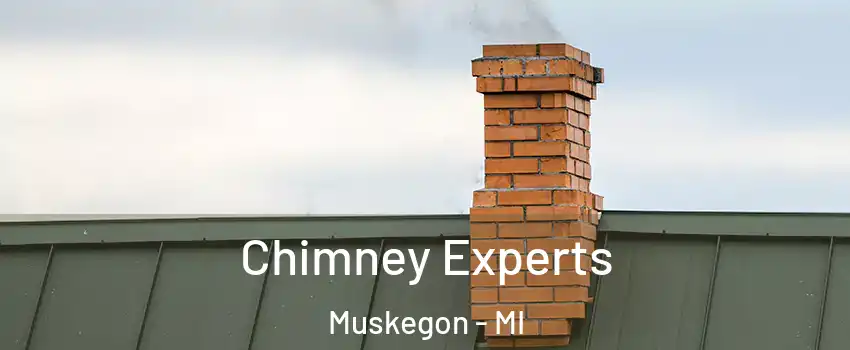 Chimney Experts Muskegon - MI