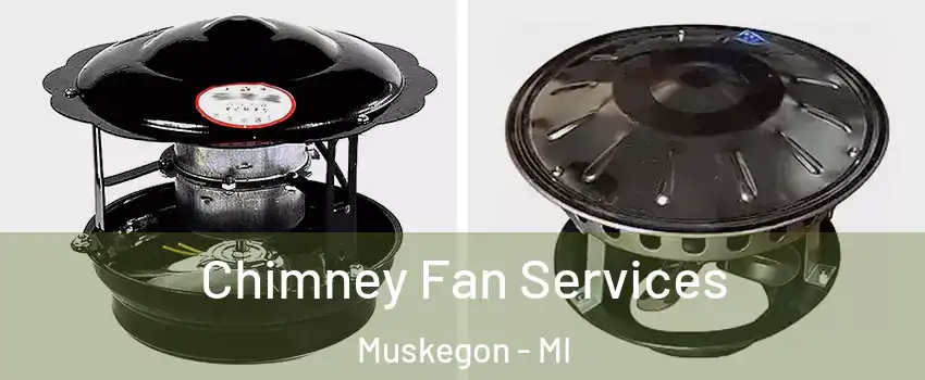  Chimney Fan Services Muskegon - MI