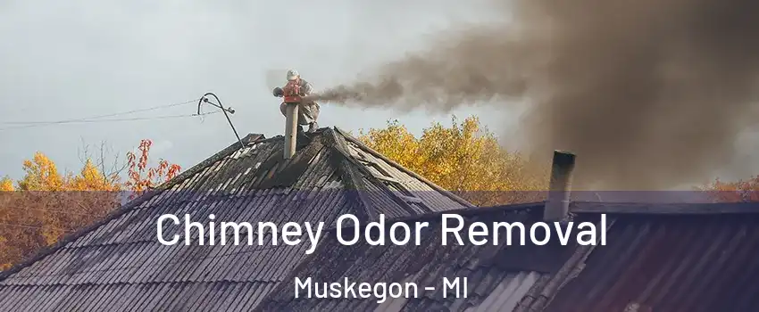  Chimney Odor Removal Muskegon - MI