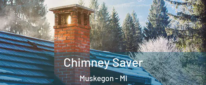  Chimney Saver Muskegon - MI