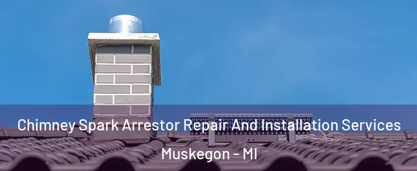  Chimney Spark Arrestor Repair And Installation Services Muskegon - MI