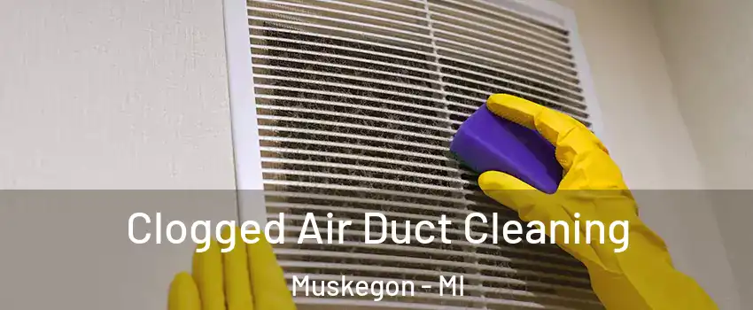  Clogged Air Duct Cleaning Muskegon - MI