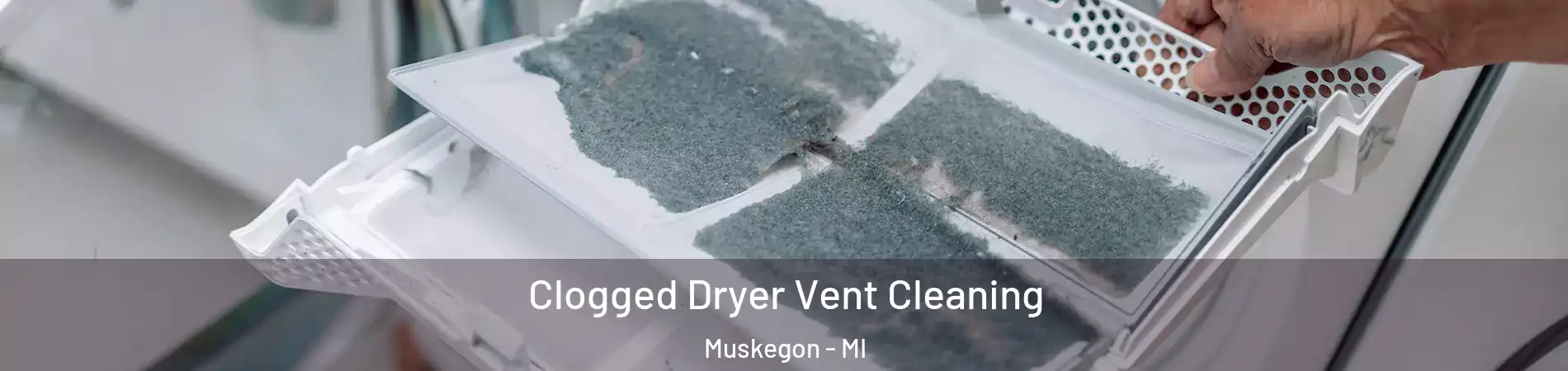  Clogged Dryer Vent Cleaning Muskegon - MI