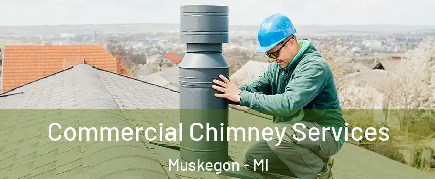  Commercial Chimney Services Muskegon - MI