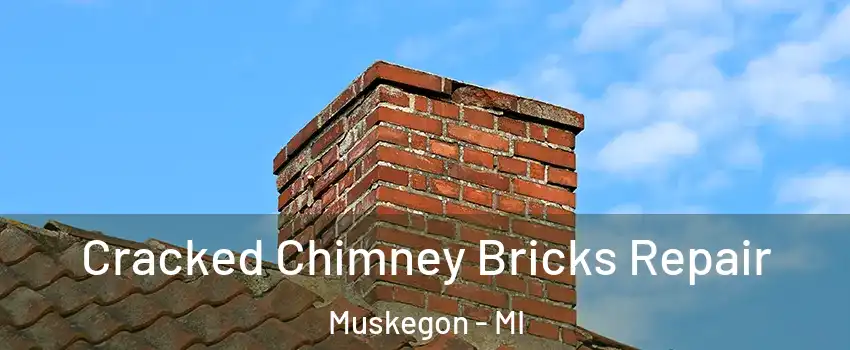  Cracked Chimney Bricks Repair Muskegon - MI