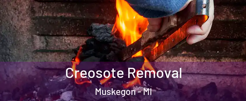  Creosote Removal Muskegon - MI