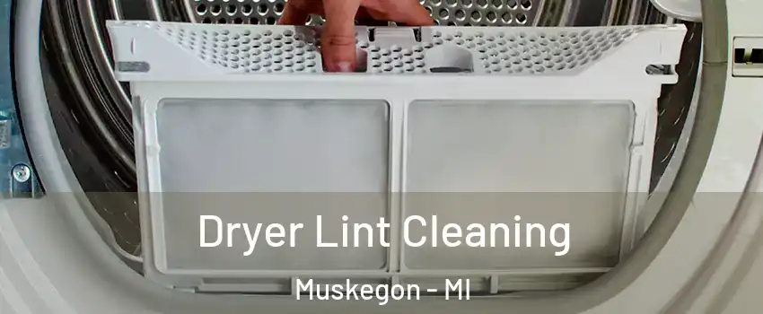  Dryer Lint Cleaning Muskegon - MI