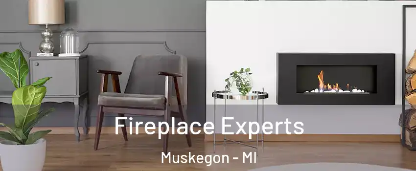  Fireplace Experts Muskegon - MI