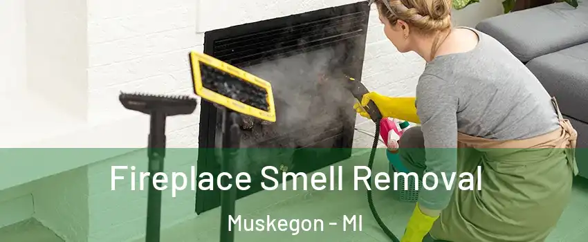  Fireplace Smell Removal Muskegon - MI