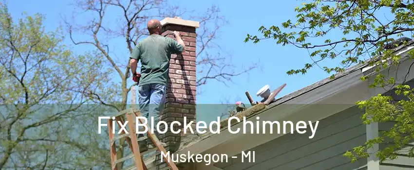  Fix Blocked Chimney Muskegon - MI