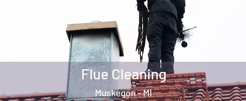  Flue Cleaning Muskegon - MI