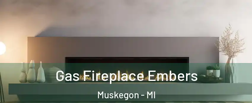  Gas Fireplace Embers Muskegon - MI