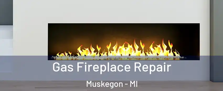  Gas Fireplace Repair Muskegon - MI