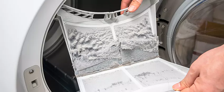 Best Dryer Lint Removal Company in Muskegon, Michigan