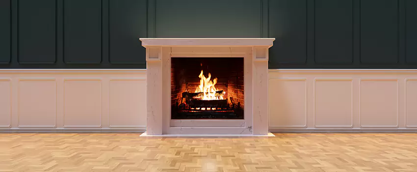 Napoleon Electric Fireplaces Inspection Service in Muskegon, Michigan