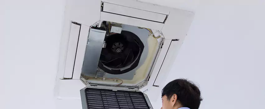 Benefits of Professional Air Duct Cleaning in Muskegon, Michigan
