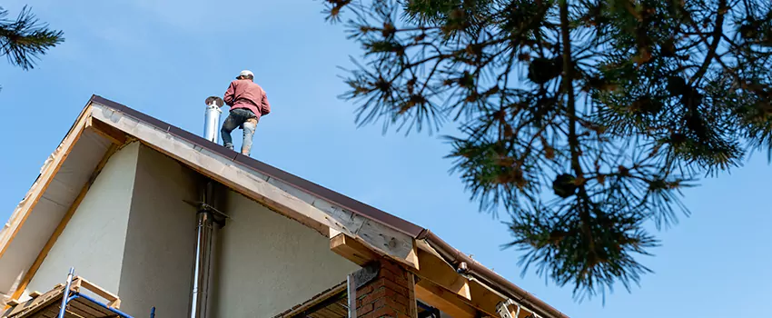 Birds Removal Contractors from Chimney in Muskegon, MI