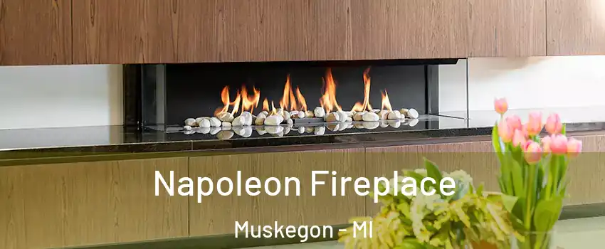 Napoleon Fireplace Muskegon - MI