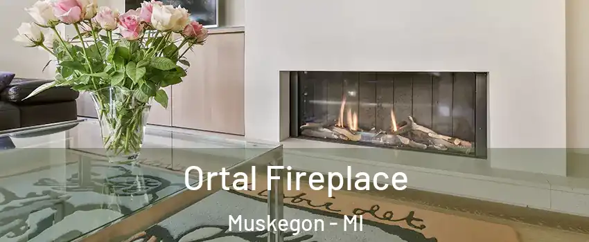 Ortal Fireplace Muskegon - MI