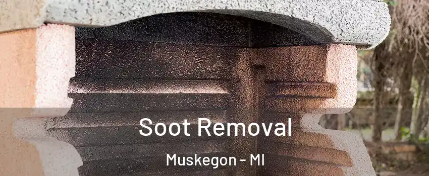 Soot Removal Muskegon - MI