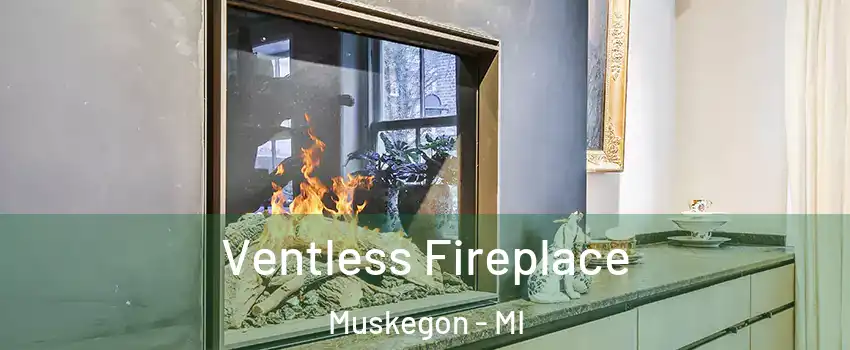  Ventless Fireplace Muskegon - MI